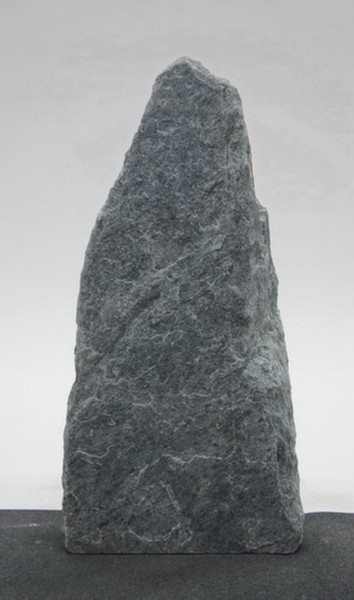 Borealis Light BLI23541