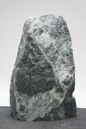 Tauerngrün TG24098
