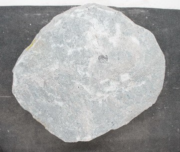 Borealis Light B.LI.L24124