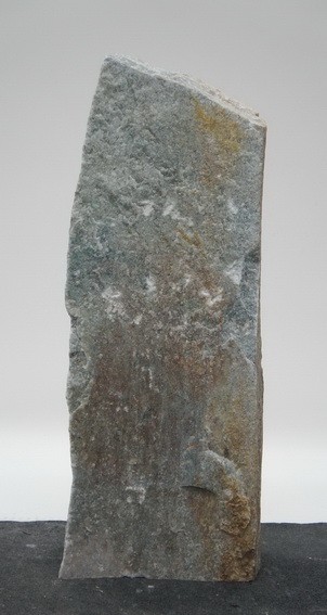 Borealis Light BLI24205
