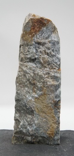 Borealis Light BLI24119