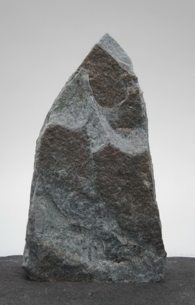 Borealis Light BLI22412