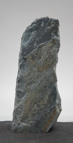 Borealis Light BLI22428