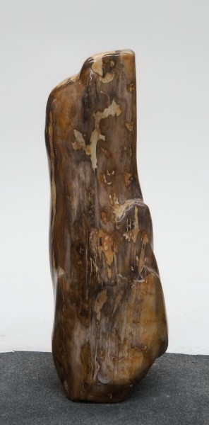 Versteinertes Holz HZ23839