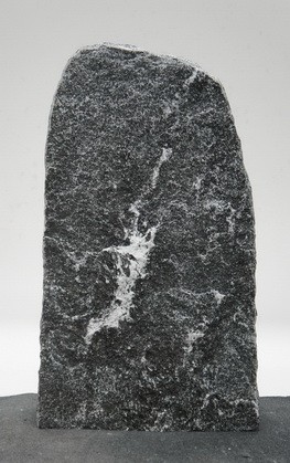 Maggia MA24158
