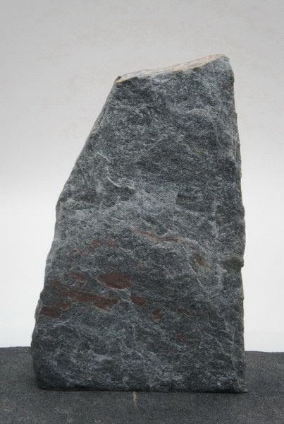 Borealis Light BLI22482