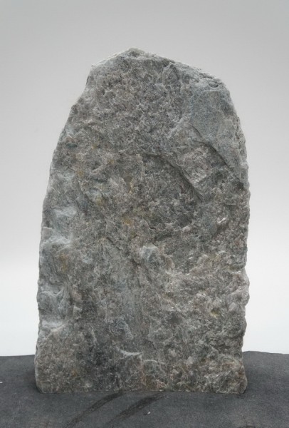 Borealis Light BLI22495