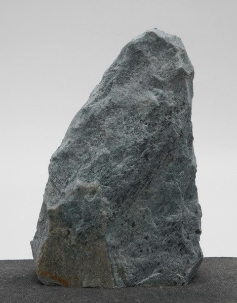 Borealis Light BLI22603