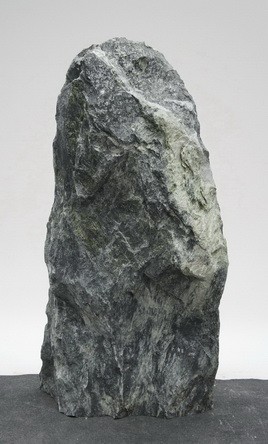 Tauerngrün TG24099