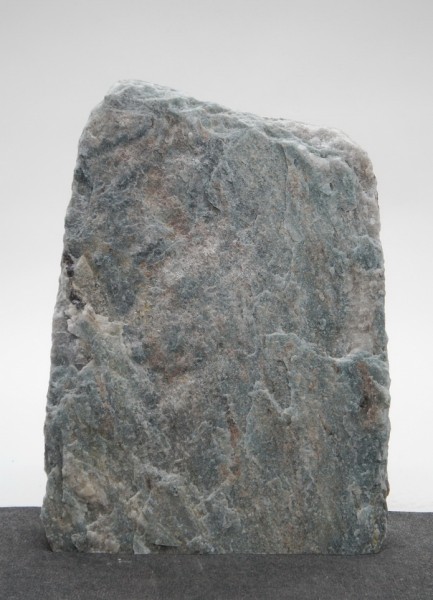 Borealis Light BLI22506