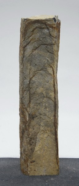 Basalt BA22818