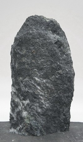 Tauerngrün TG24091