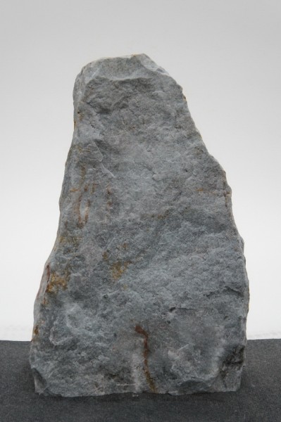 Borealis Light BLI22203