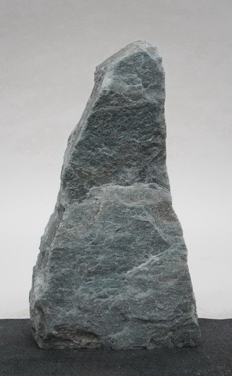 Borealis Light BLI24219