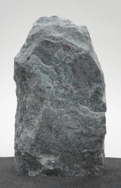 Borealis Light BLI22224