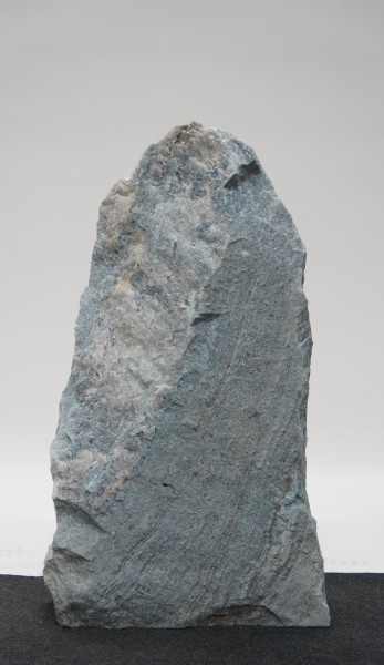 Borealis Light BLI23161