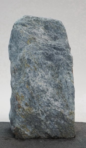 Borealis Light BLI22160