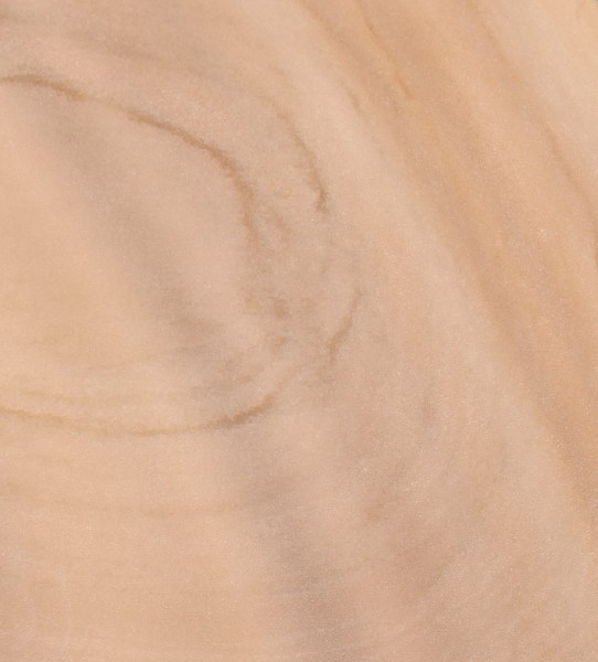 E226 Edition In deiner Hand