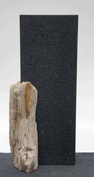 Canada Black CB22689