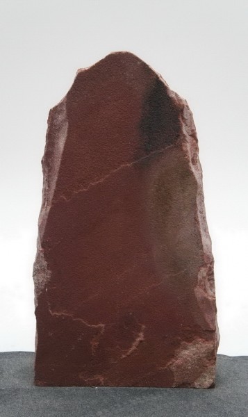 Wasa WA23951