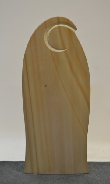 U313 Edition Vermissen