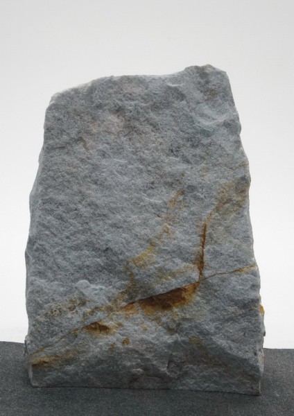 Borealis Light BLI22215