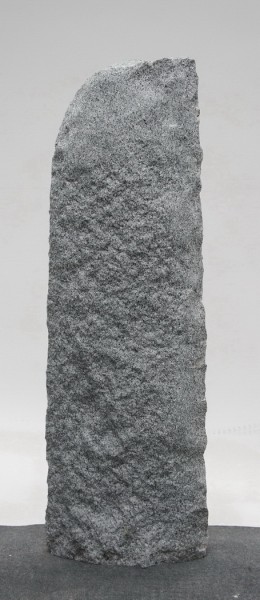 Schwedisch Silber SS22653