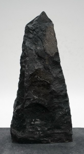 Schwedisch Schwarz SSI23655