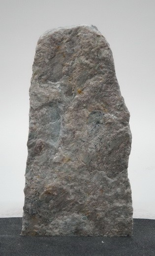 Borealis Light BLI24230