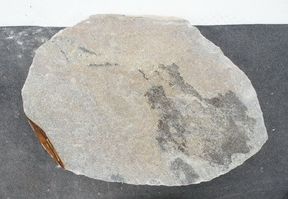 Borealis Light B.LI.L24009