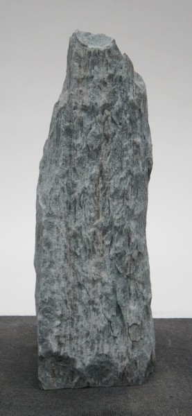 Borealis Light BLI22425