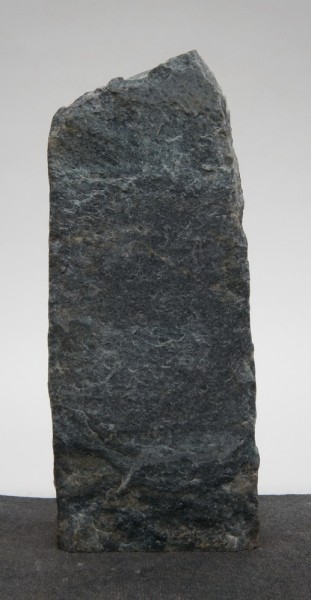 Borealis Light BLI22422