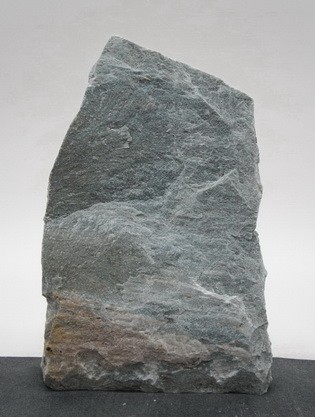 Borealis Light BLI24215