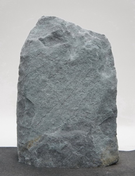 Borealis Light BLI23395