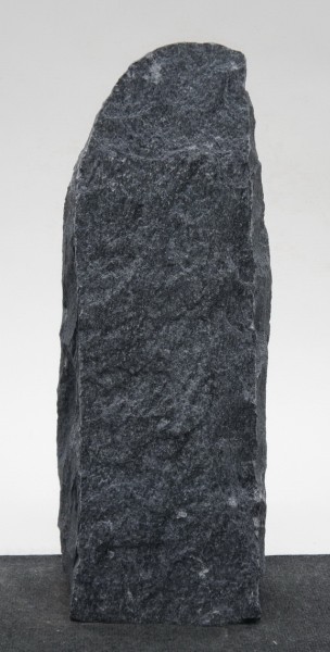 Bleu des Alpes BLA23021