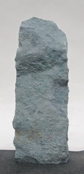 Borealis Light BLI23936