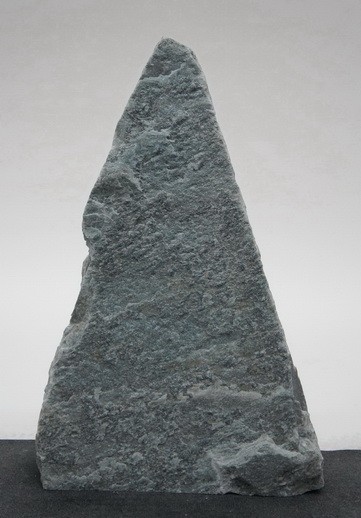 Borealis Light BLI24212